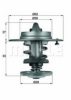 BEHR TX 80 83 Thermostat, coolant
